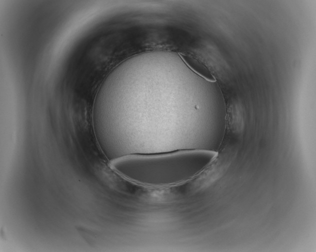 X0000111390762200907101146