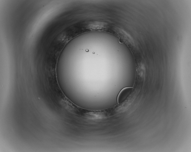 X0000111390763200907101146