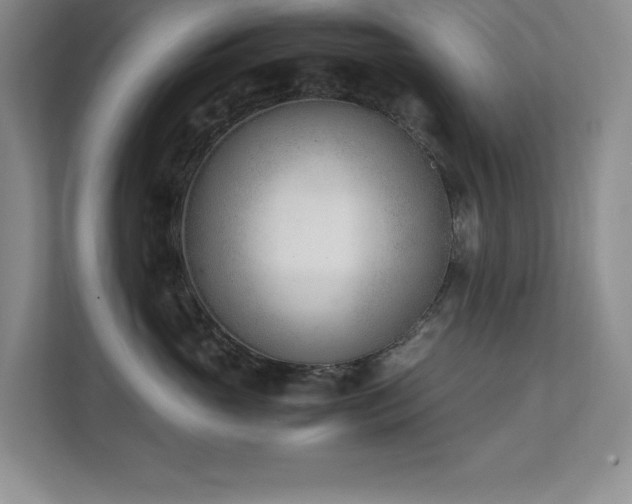 X0000111390765200907101146