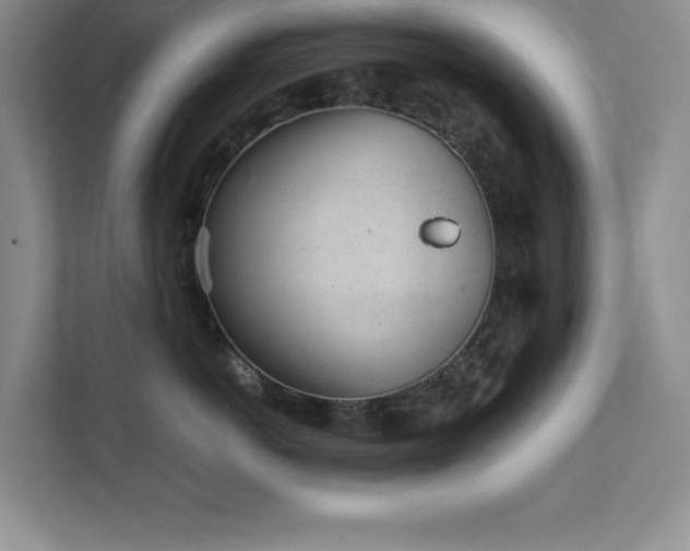 X0000111390766200907101146