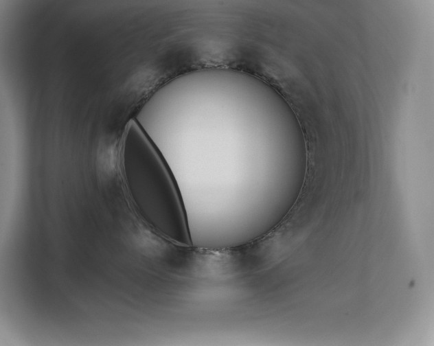 X0000111390768200907101146