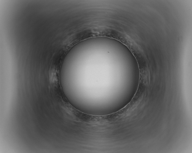 X0000111390770200907101146