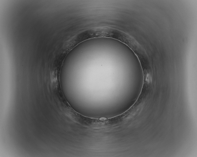 X0000111390771200907101146