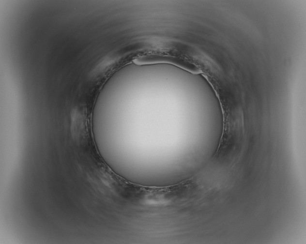 X0000111390773200907101146