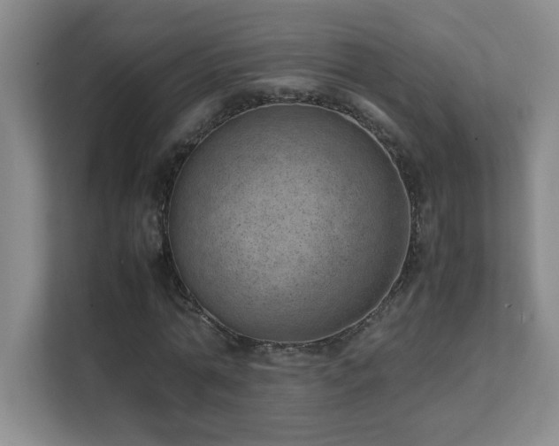 X0000111390774200907101146