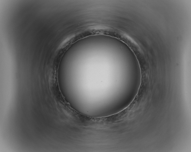 X0000111390775200907101146