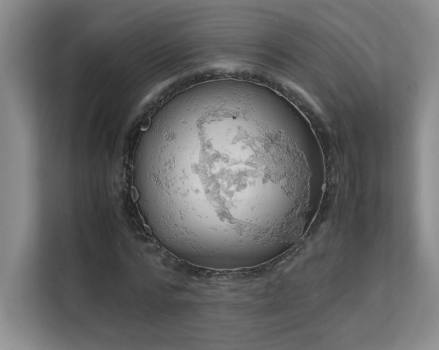 X0000111390776200907101146