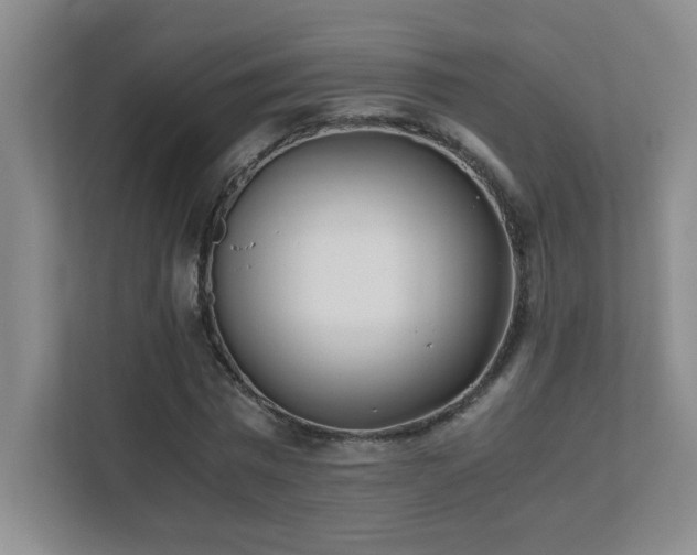 X0000111390777200907101146