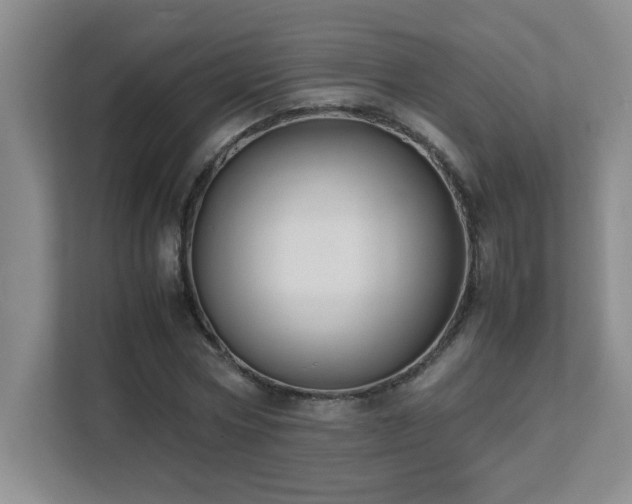 X0000111390778200907101146