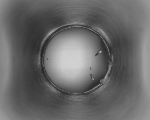 X0000111390780200907101146