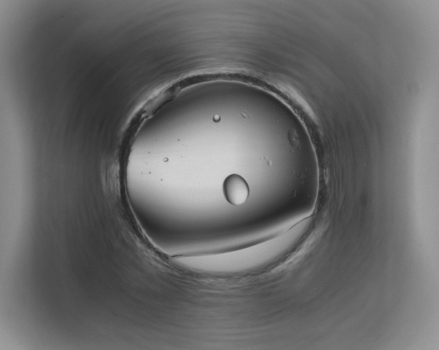 X0000111390781200907101146