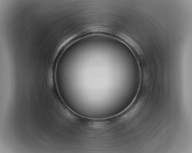 X0000111390782200907101146