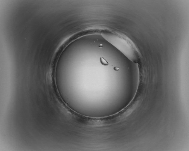 X0000111390783200907101146