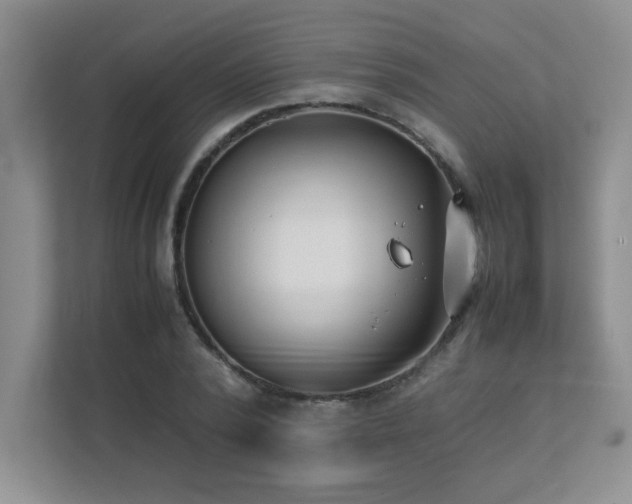 X0000111390784200907101146