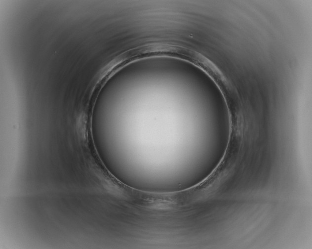 X0000111390786200907101146