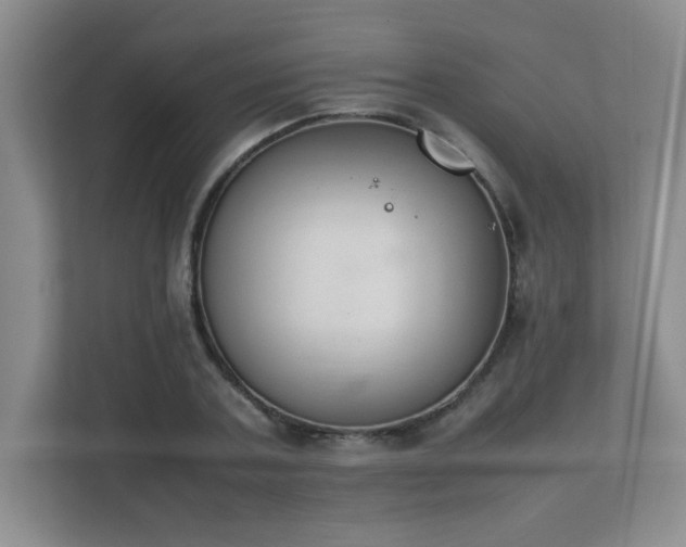 X0000111390787200907101146