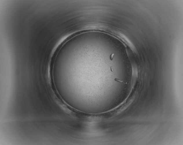 X0000111390788200907101146