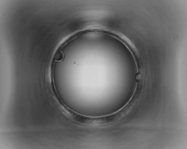 X0000111390791200907101145