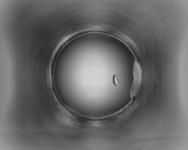 X0000111390792200907101145