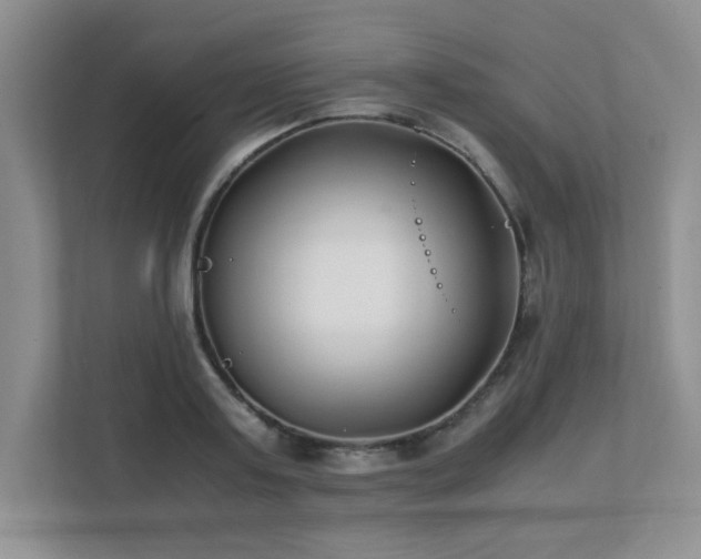 X0000111390795200907101145