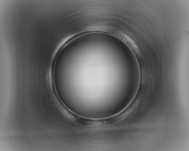 X0000111390796200907101145