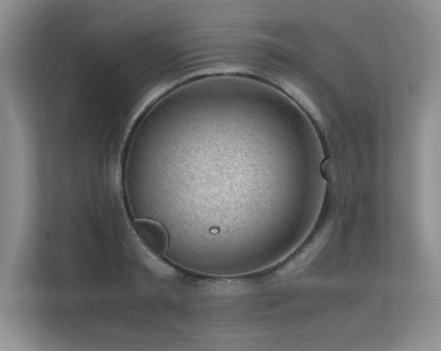 X0000111390797200907101145