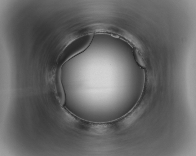 X0000111390801200907101145