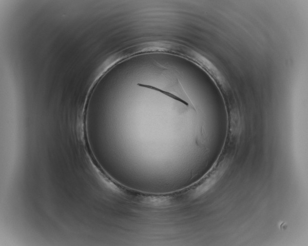 X0000111390802200907101145