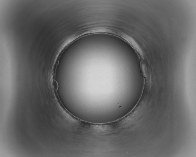 X0000111390805200907101145