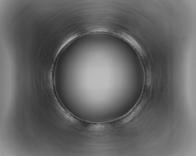 X0000111390806200907101145