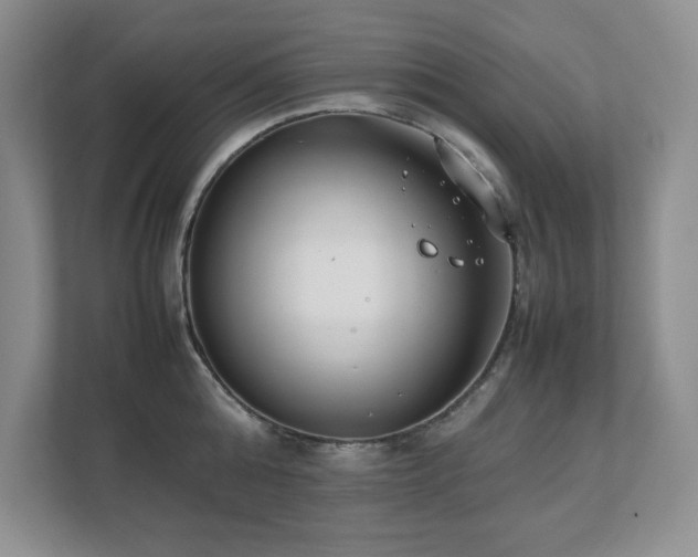 X0000111390808200907101145