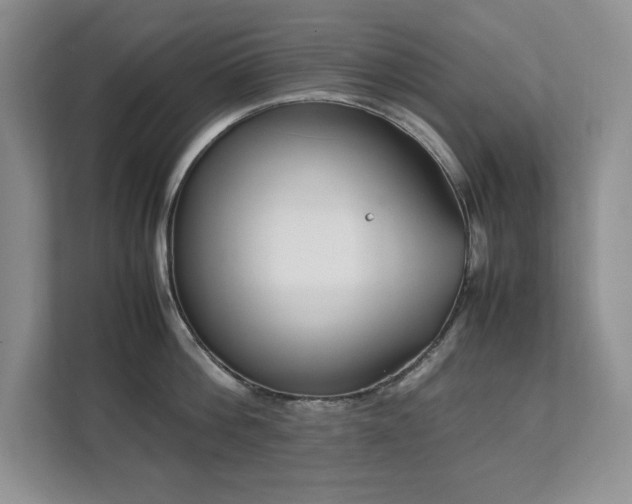 X0000111390812200907101145