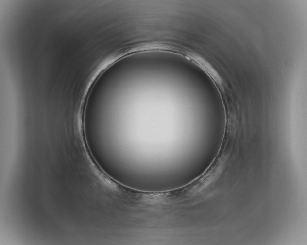 X0000111390813200907101145