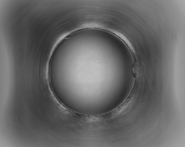 X0000111390815200907101145