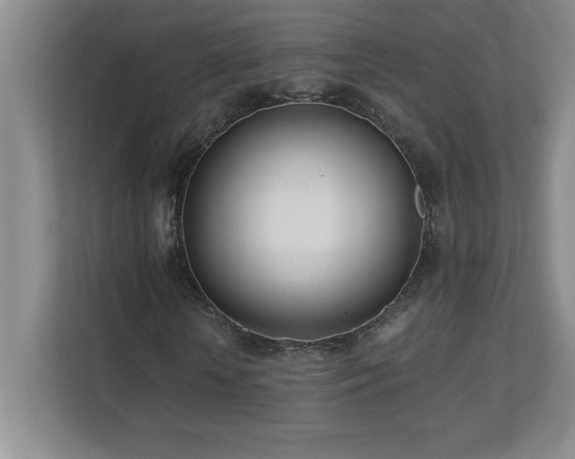 X0000111390818200907101145