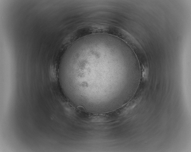 X0000111390819200907101145