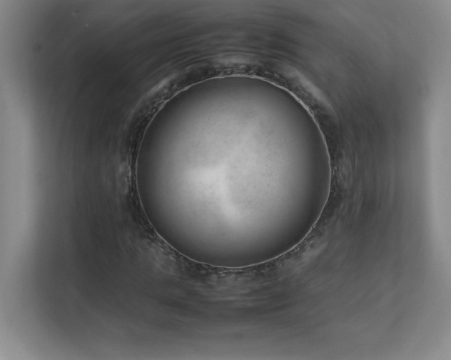 X0000111390821200907101145