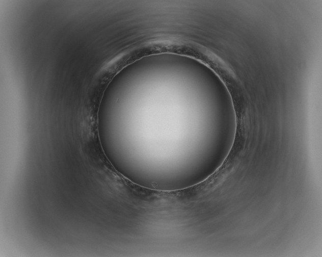 X0000111390822200907101145