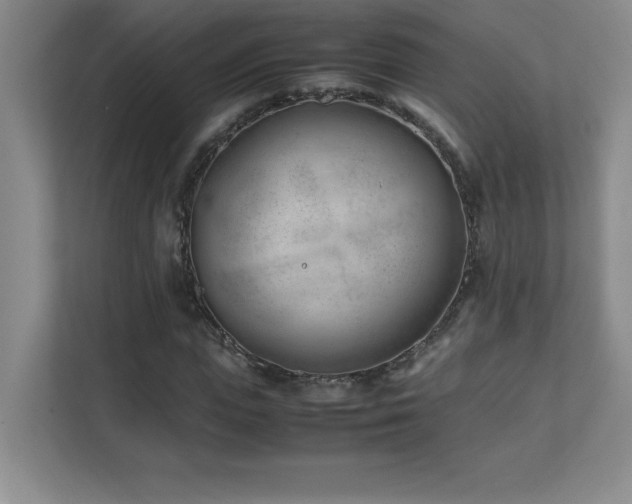 X0000111390823200907101145