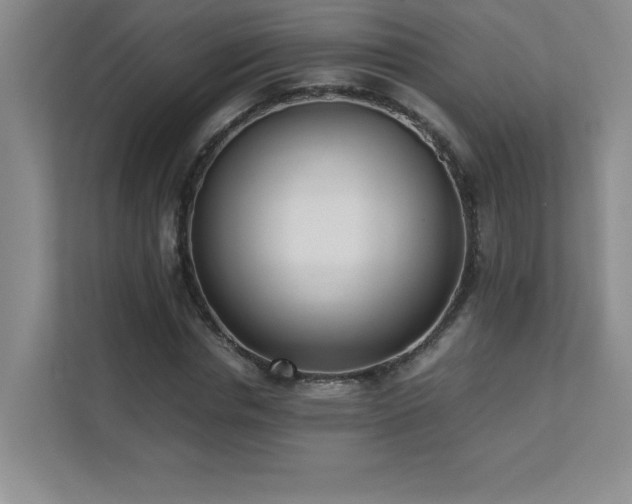 X0000111390826200907101145