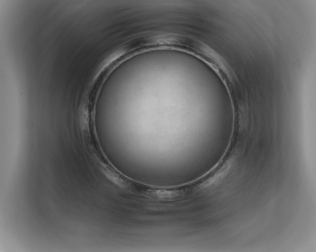 X0000111390827200907101145