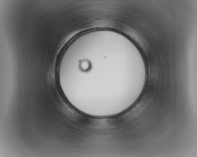 X0000111390828200907101145