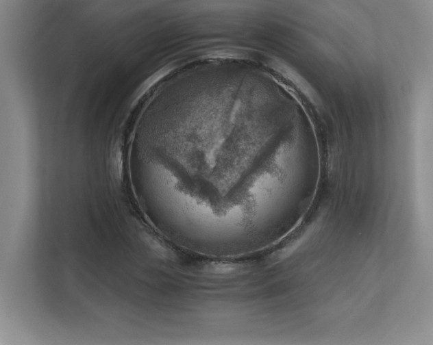 X0000111390829200907101145