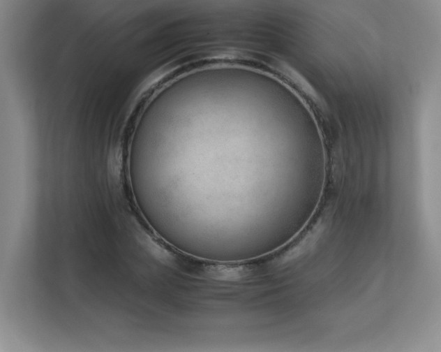 X0000111390831200907101145