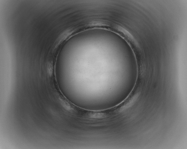 X0000111390833200907101145