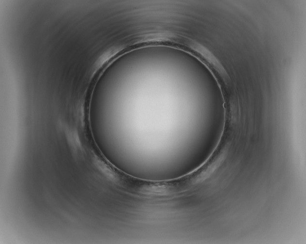 X0000111390834200907101145