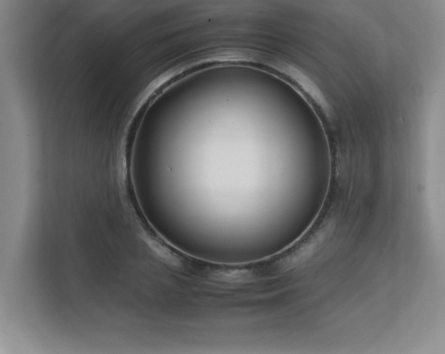 X0000111390837200907101145