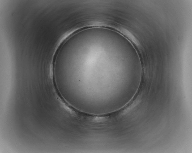 X0000111390839200907101145