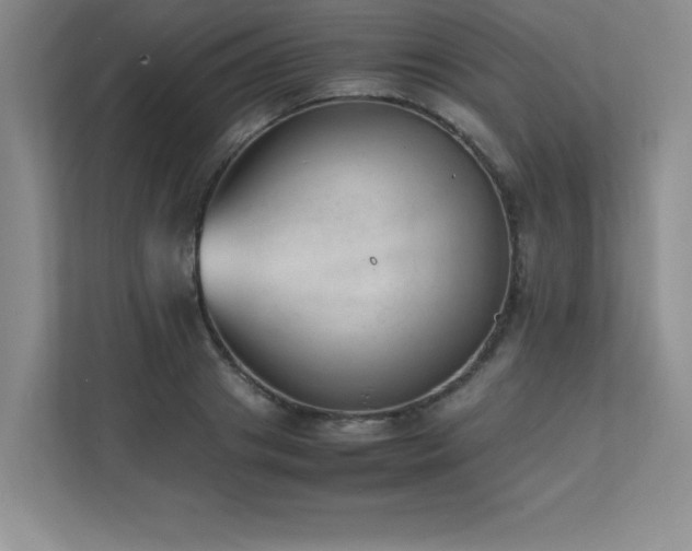 X0000111390841200907101145