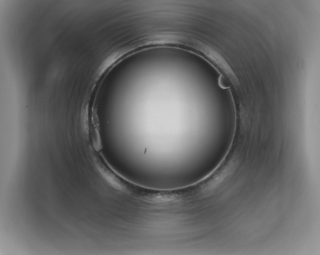 X0000111390842200907101145